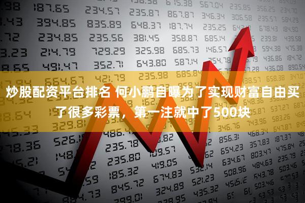 炒股配资平台排名 何小鹏自曝为了实现财富自由买了很多彩票，第一注就中了500块