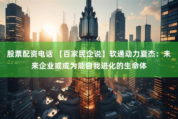 股票配资电话 【百家民企说】软通动力夏杰：未来企业或成为能自我进化的生命体